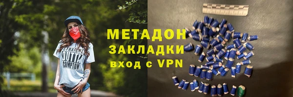 индика Ельня