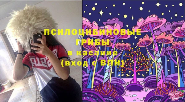 таблы Алексеевка